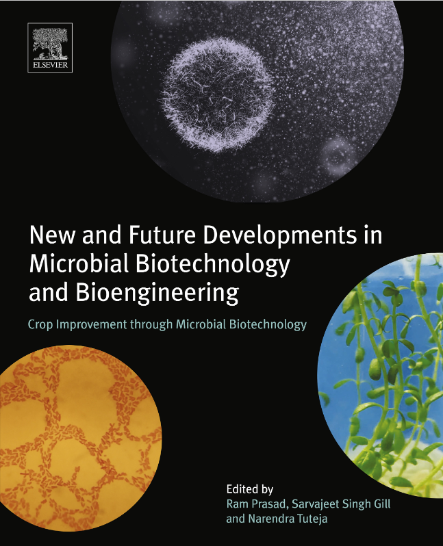 New and Future Developments in Microbial Biotechnology and Bioengineering